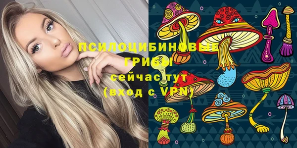 эйфоретик Гусиноозёрск