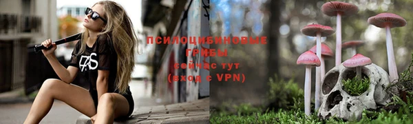 винт Арсеньев